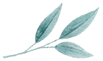 image_leaves_01